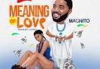 Magnito - Meaning of Love