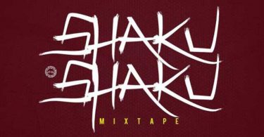 DJ INSTINCT - Shaku Shaku Mix 2018