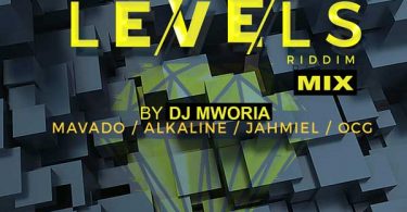 DJ MWORIA - Levels Riddim Mix