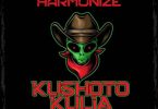 Harmonize - Kushoto kulia Mp3 Download