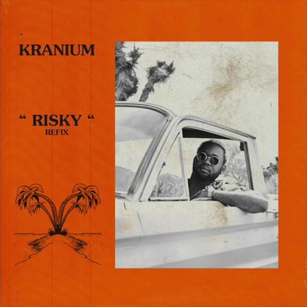 Kranium - Risky (Refix) Mp3 Download