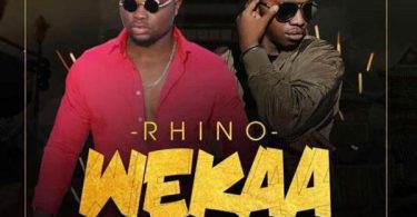 Rhino ft Shetta Wekaa Mp3 Download