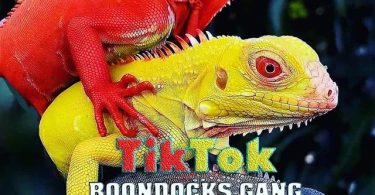 Boondocks Gang - TIKTOK Mp3 Download