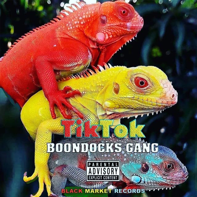 Boondocks Gang - TIKTOK Mp3 Download