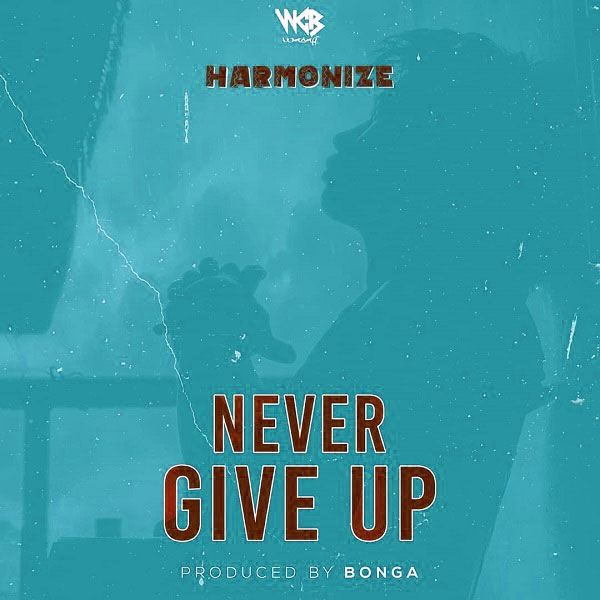 Harmonize - Never Give Up (English Version) | Mp3 Download