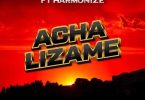 Nandy ft Harmonize - Acha Lizame