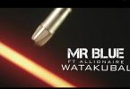 Mr Blue ft Allionaire - Watakubali | MP3 Download