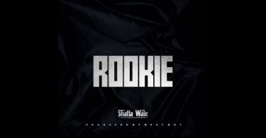Shatta wale - Rookie MP3 Download
