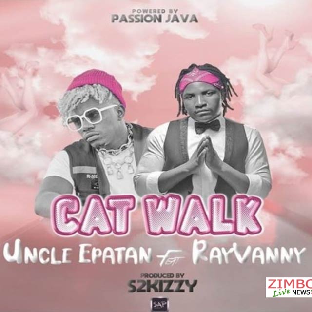 Uncle Epatan ft Rayvanny - Cat Walk