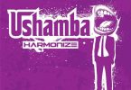 Harmonize - Ushamba Mp3 Download