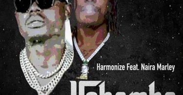 Harmonize ft Naira Marley - Ushamba Remix Mp3 Download