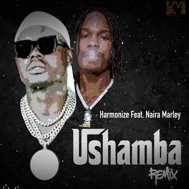 Harmonize ft Naira Marley - Ushamba Remix Mp3 Download