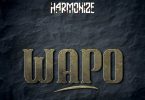 Wapo by Harmonize