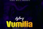 Aslay Vumilia Mp3 Download