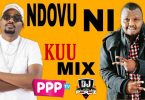 DJ PEREZ NDOVU NI KUU 254 Ever Vol 5 Mix 2021 Mp3 Download