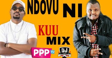 DJ PEREZ NDOVU NI KUU 254 Ever Vol 5 Mix 2021 Mp3 Download