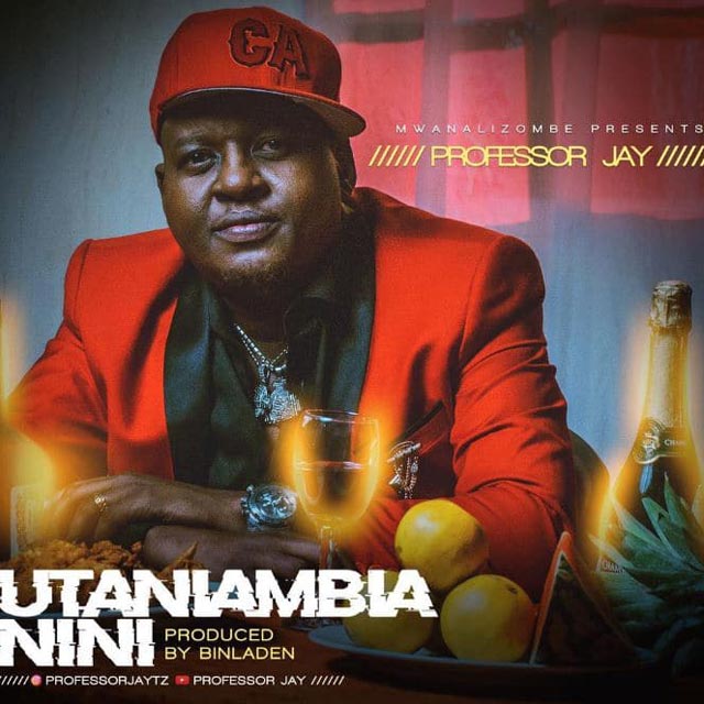 Professor Jay Utaniambia Nini Mp3 Download
