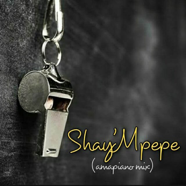 Muzzy D Piot Shay'mpempe Amapiano mix mp3 download