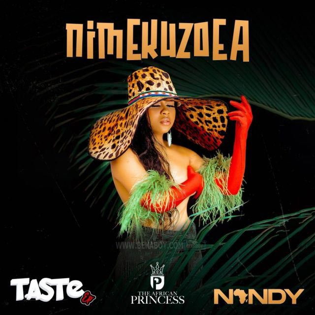 Bush Boi ft Nandy Nimekuzoea Remix Mp3 Download