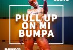 Cindy Sanyu Pull Up On Mi Bumpa Mp3 Download