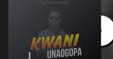 Nay Wa Mitego Kwani Unaogopa Mp3 Download
