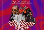 Anjella ft Country Wizzy Nobody Remix Mp3 Download