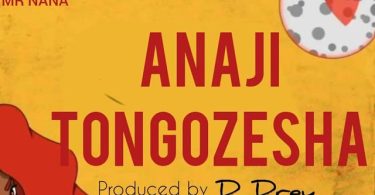 Mr Nana - Anajitongozesha Mp3 Download