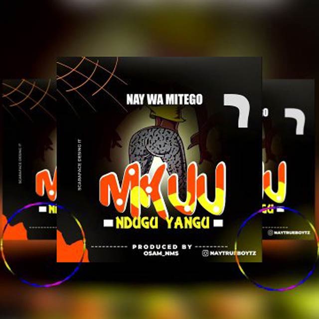 Nay Wa Mitego Mkuu Ndugu Yangu Mp3 Download