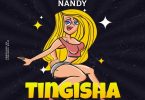 Rhino The Don ft Nandy Tingisha Rmx Mp3 Download