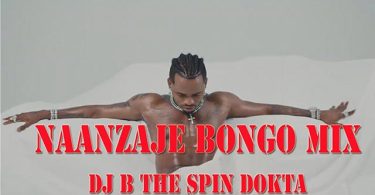 DJ B TheSpinDokta Naanzaje Bongo Mix 2021 Mp3 Download