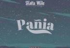 Shatta Wale Pania Mp3 Download