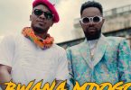 Alikiba ft Patoranking Bwana Mdogo Mp3 Download