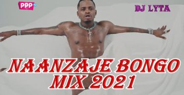 DJ Lyta ft DJ Denik Naanzaje Bongo Mix 2021 Mp3 Download