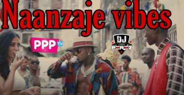 DJ Perez Naanzaje Mix 2021 Mp3 Download