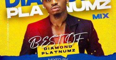 DJ Shinski Best of Diamond Platnumz Mix 2021 Mp3 Download