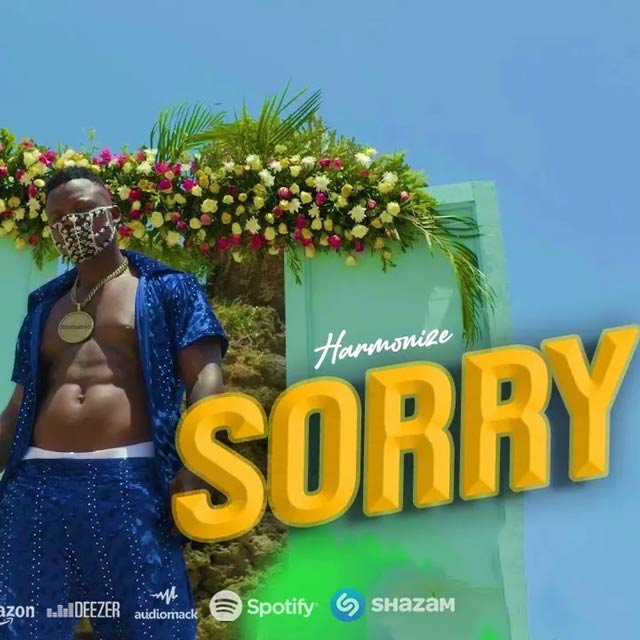 Harmonize Sorry Mp3 Download