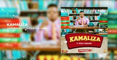 Harmonize ft Sholo Mwamba Kamaliza Mp3 Download