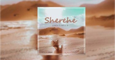 Linex Sunday ft Belle 9 - Sherehe Mp3 Download