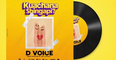 D Voice Kuachana Shilingi Ngapi Mp3 Download