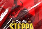 Trio Mio Steppa Mp3 Download