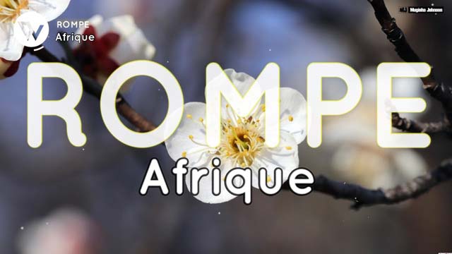 Afrique - Rompe Mp3 Download