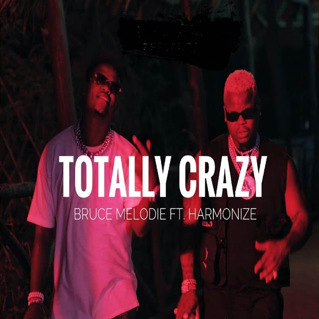 Bruce Melodie ft Harmonize - Totally Crazy Mp3 Download