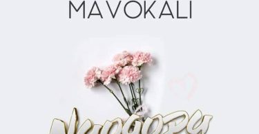 Mavokali - Naogopa Mp3 Download