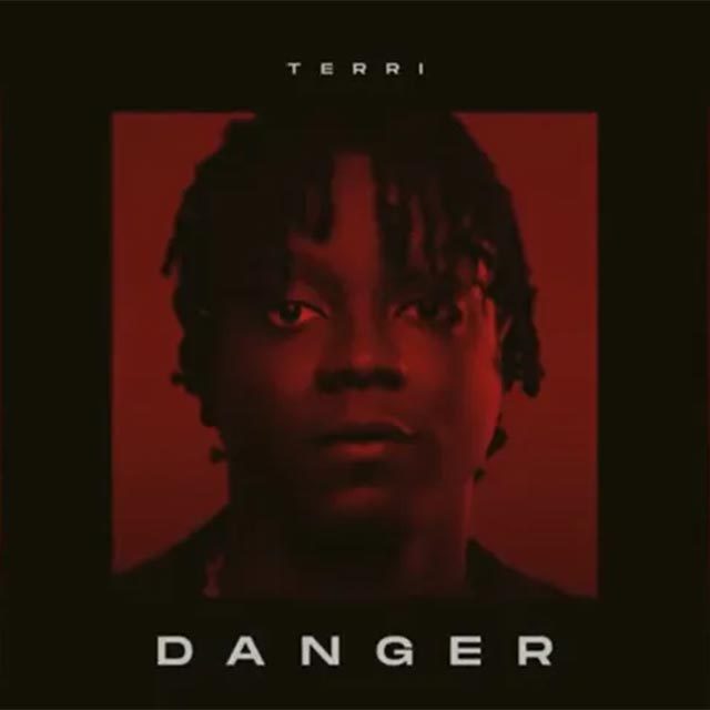 Terri - Danger Mp3 Download