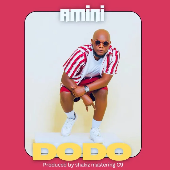 Amini - Dodo Mp3 Download