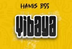 Hamis Bss - Vibaya Mp3 Download