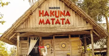 Marioo - Hakuna Matata Mp3 Download