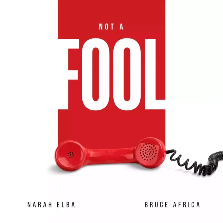 Narah Elba ft Bruce Africa - Not A Fool Mp3 Download