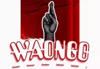 P Mawenge - Waongo Mp3 Download