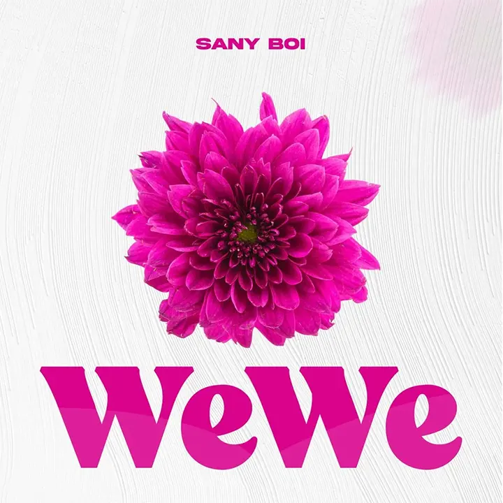 Sany Boy - Wewe Mp3 Download